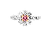 Round brilliant cut ring available in platinum or rose gold. Available in White Gold, Yellow Gold, Rose Gold or Platinum